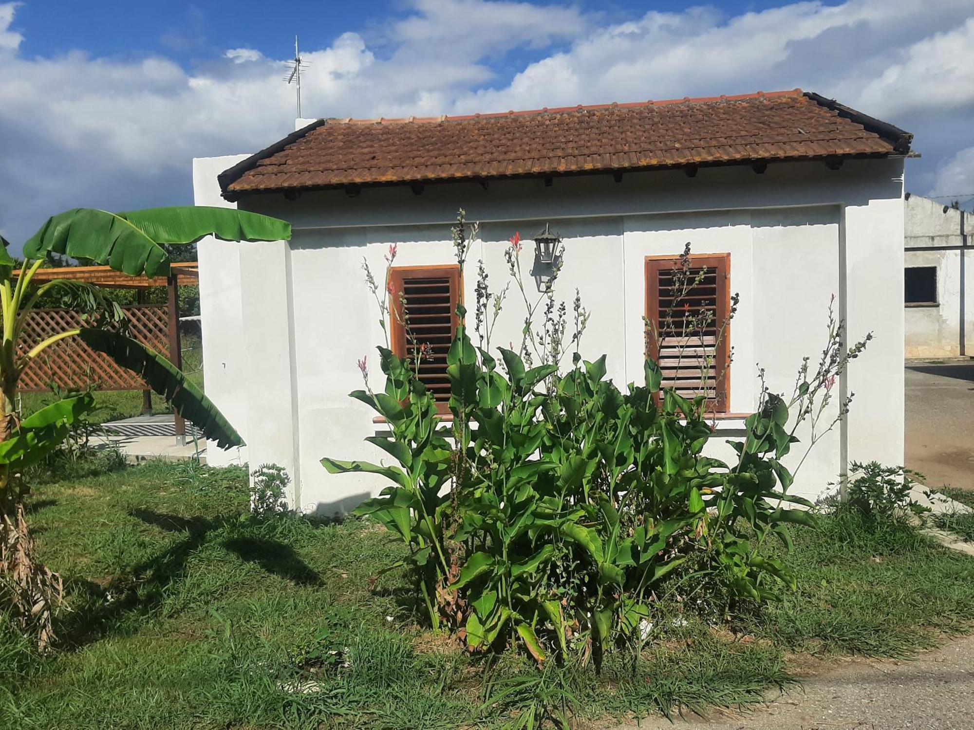 Azienda Agricola Neocastrum 라메지아 테르메 외부 사진
